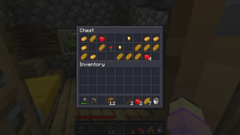 Chest