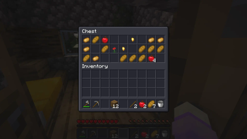 Chest