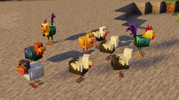 Chickens
