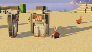 Desert