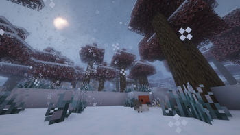 A winter forest!