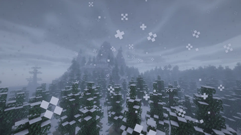 A snowy forest!