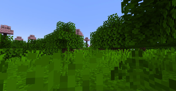 New biome!