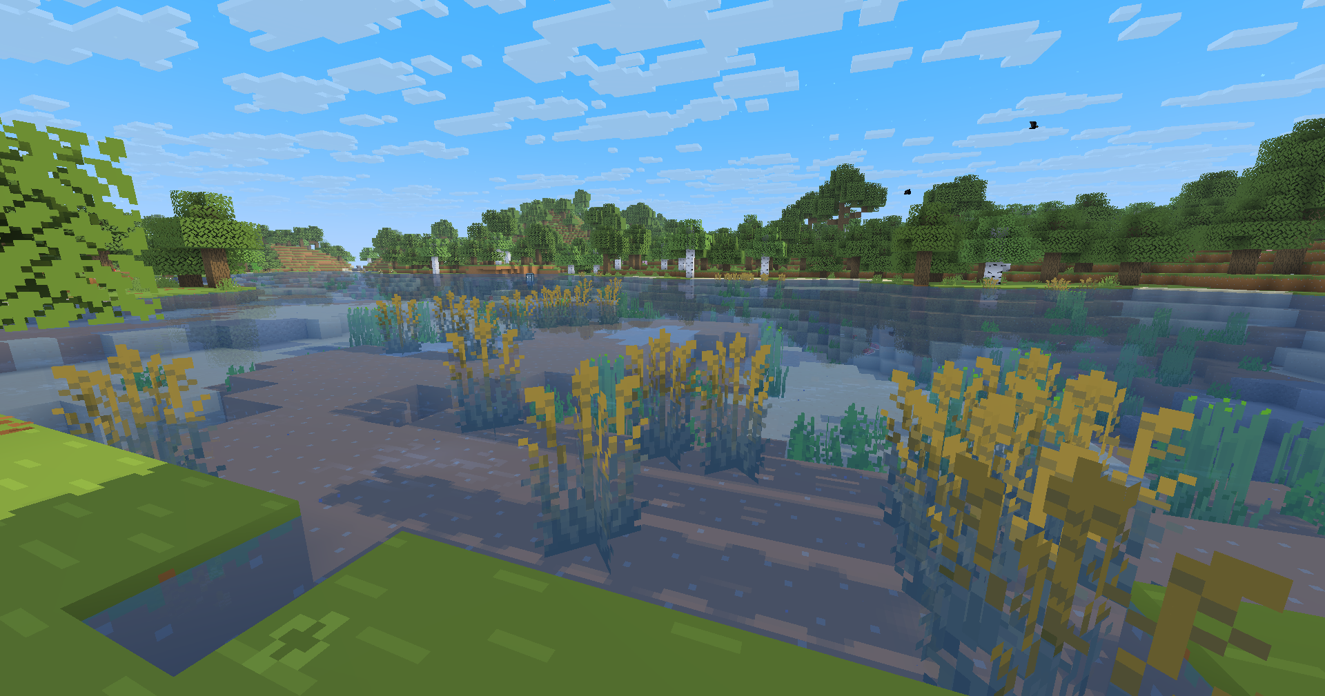 River with reeds