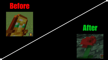 befor/after