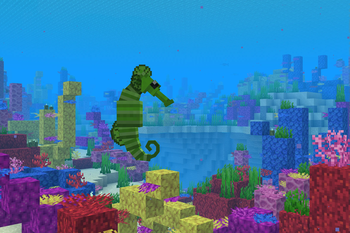 Seahorses!