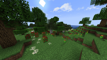 Rose bushes2