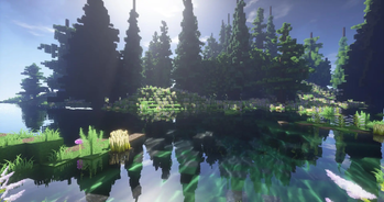  Such a Beautiful Forest