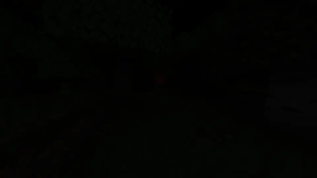 The Dark Forest