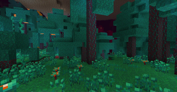 netherw