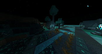 Echo Village