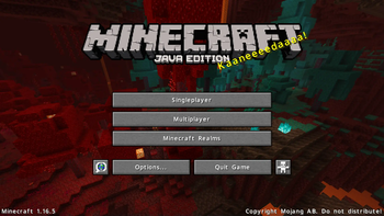 1.16.5 Title Screen