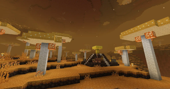 A toxic fungal landscape