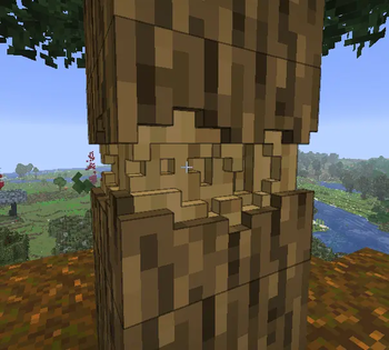 Oak-tree