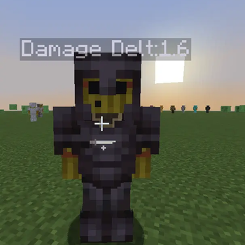 Damage Display