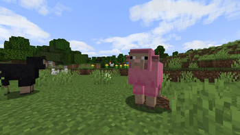 Pink Plains