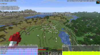 Little preview about FPS on SMP server