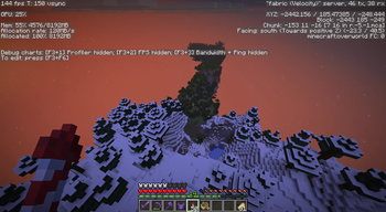 Lot of chunks (server world)