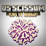 Os Scissum - Split Bone