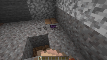 The Magic Conch Shell found in a trail ruin