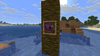 The Magic Conch Shell