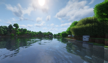 Forest with some water