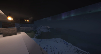 Window view (Night)