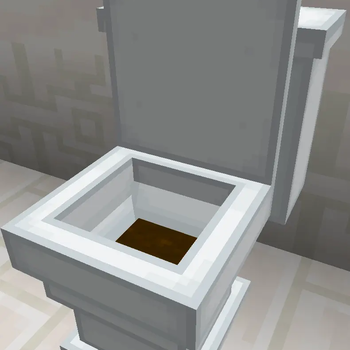 Clogged Toilet