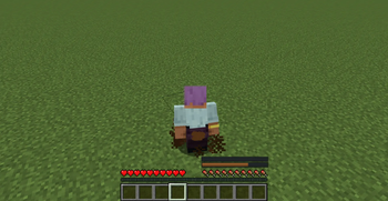 Defecating on the floor