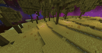 The Bacterial Valley