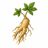 Wild_Ginseng