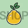 Pomelo's Shop