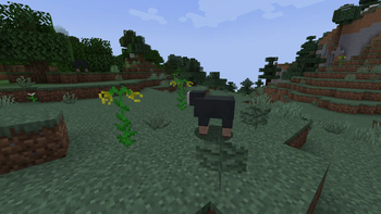 BETA 0.9.14!