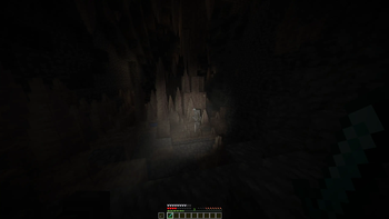 First-person view