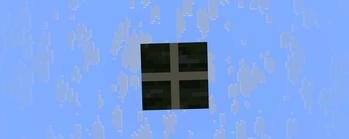 Bottom of dried kelp block