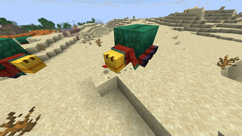 sniffer in the sand
