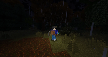 Immersion
