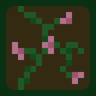 Pink Flowering Vines