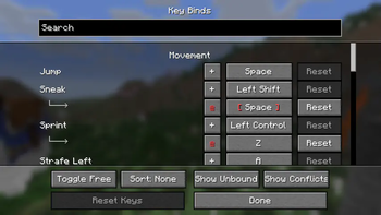 Key binds screen with Controlling