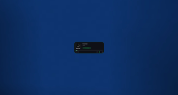 Small Size Spotify