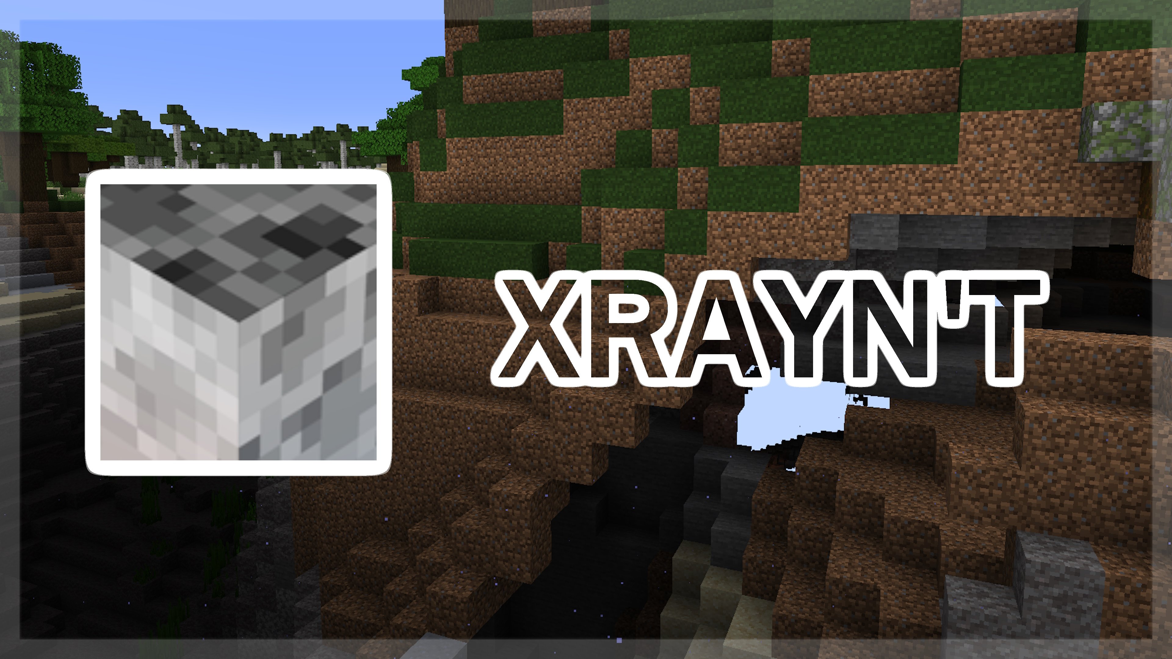 XRAYn't: a silly resource pack for those looking for an original