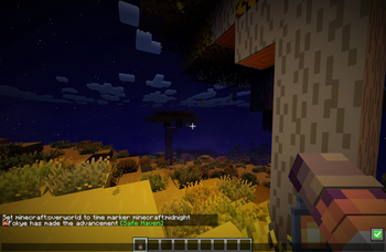 Savana Night