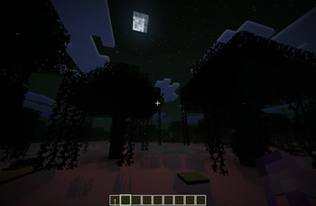 Swamp Night