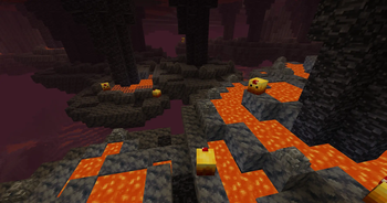 Inverted Forest