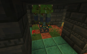 A Reclaimed Trial Spawner