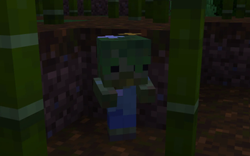 A Baby Reclaimed hides amongst the bamboo stalks