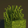 Rad's Lush Foliage