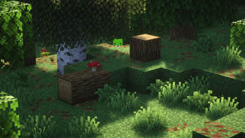 Bushes And Grass!