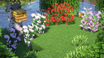 Tall Flowers!