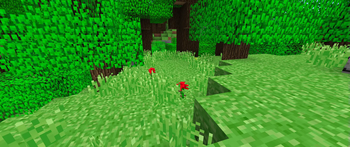 After - Dark Forest Transition